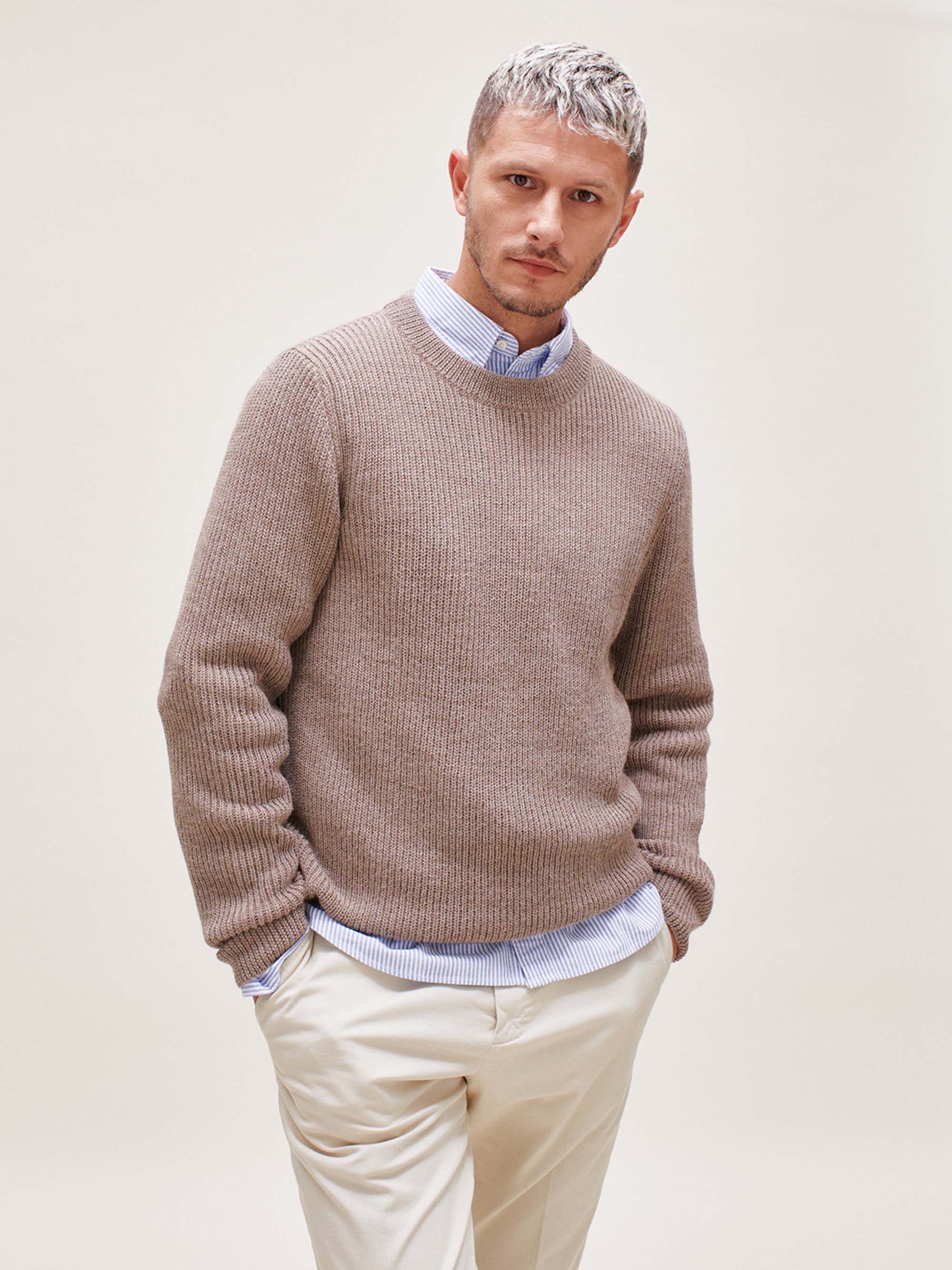 ニット/セーター INSCRIRE Alpaca Crrew-Neck Pullove Matilda Alpaca Turtleneck In Light Grey